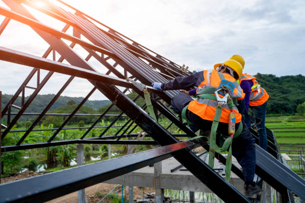 Best Storm Damage Roof Repair  in Scanlon, MN