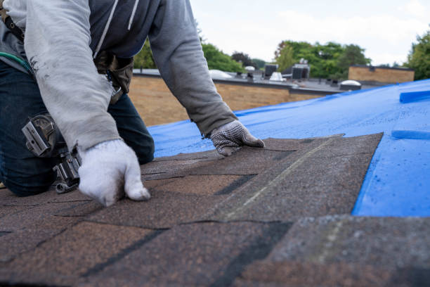 Best Roof Waterproofing Services  in Scanlon, MN