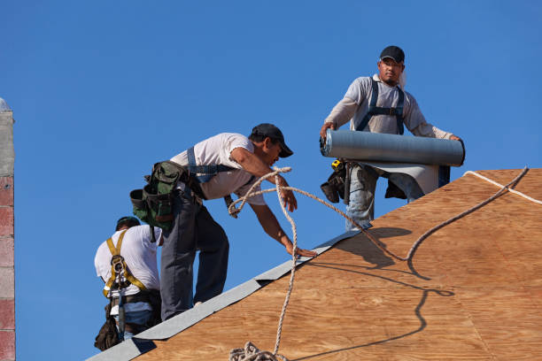 Professional Roofing Contractor in Scanlon, MN