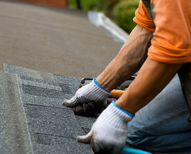 Best Emergency Roof Repair  in Scanlon, MN