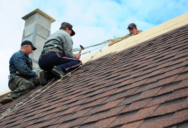 Best Emergency Roof Repair  in Scanlon, MN