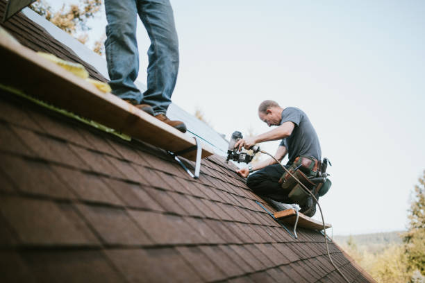 Best Roof Repair Estimates  in Scanlon, MN