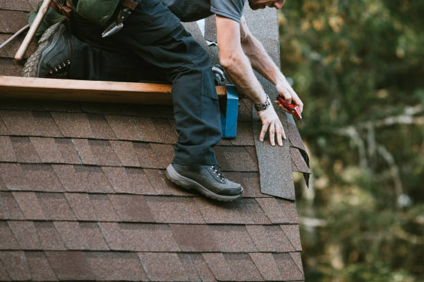Best New Roof Installation  in Scanlon, MN