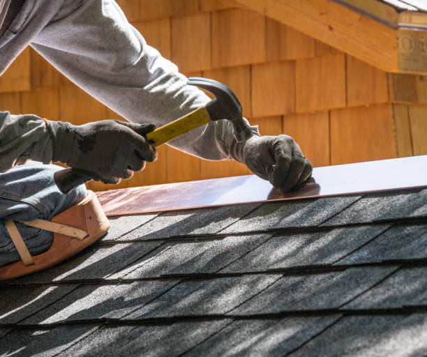Best Roof Gutter Cleaning  in Scanlon, MN